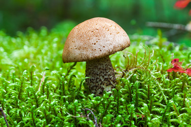 Similar image 13192315