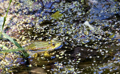 Similar image 13232080