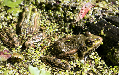 Similar image 13232056