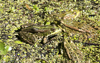 Similar image 13232058