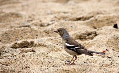 Similar image 13232060