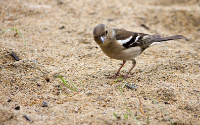 Similar image 13232063