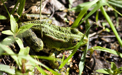 Similar image 13232065