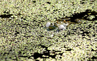 Similar image 13232066