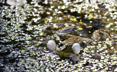 Similar image 13232067