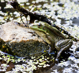 Similar image 13232068