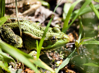 Similar image 13232069