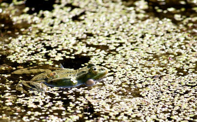 Similar image 13232070