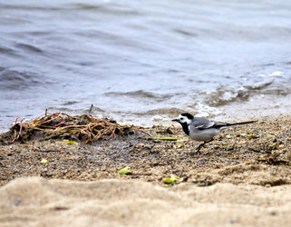 Similar image 13232081