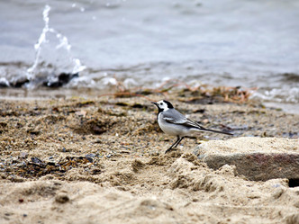 Similar image 13232082