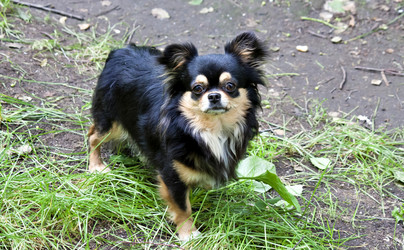 Similar image 13232084