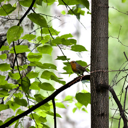 Similar image 13232085