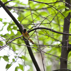 Similar image 13232086