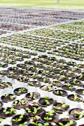 Similar image 13202431