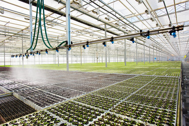 Similar image 13202456