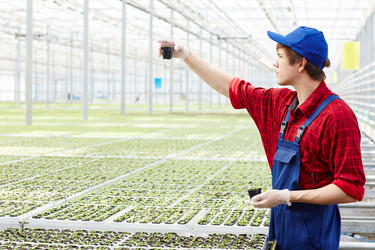 Similar image 13202469