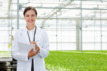 Similar image 13202475