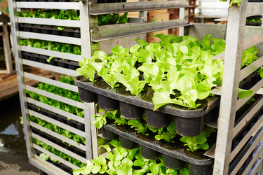 Similar image 13202478