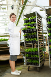 Similar image 13202481