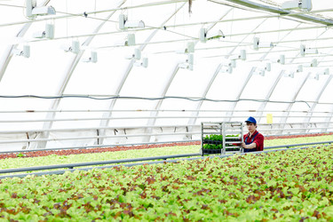 Similar image 13202485