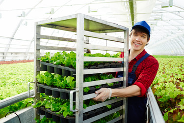 Similar image 13202492