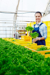 Similar image 13202496