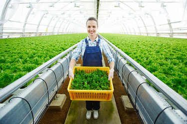 Similar image 13202498