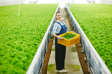 Similar image 13202499