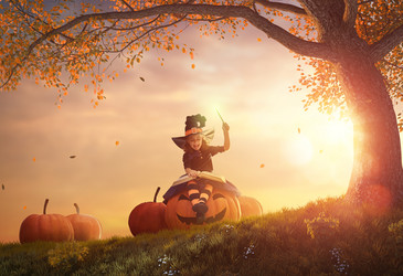 Similar image 13192918