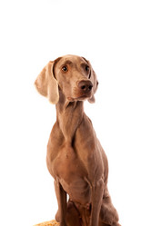 Similar image 13193305