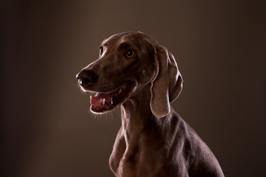 Similar image 13193306