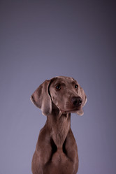 Similar image 13193307