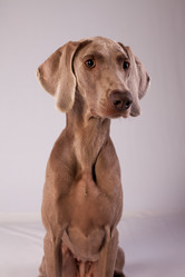 Similar image 13193308