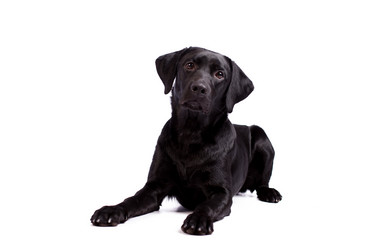 Similar image 13193314