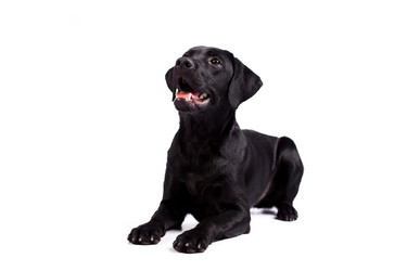 Similar image 13193315