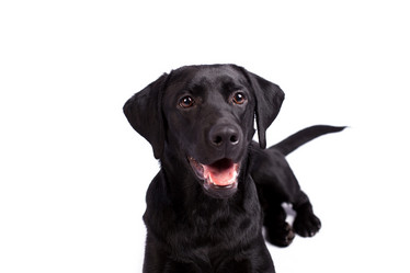 Similar image 13193316