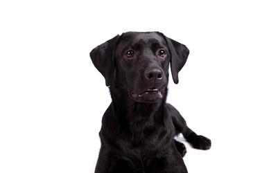 Similar image 13193317