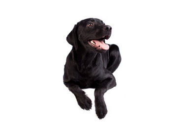 Similar image 13193318