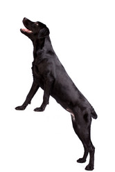 Similar image 13193319