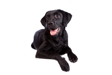 Similar image 13193324