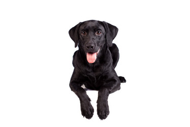 Similar image 13193325