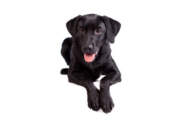 Similar image 13193326