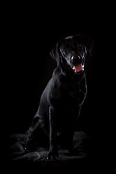 Similar image 13193329