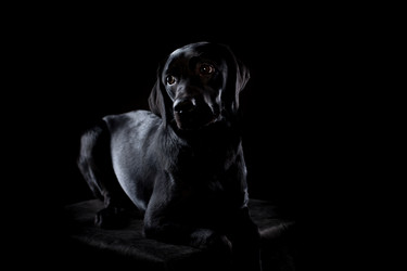 Similar image 13193330