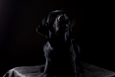 Similar image 13193331