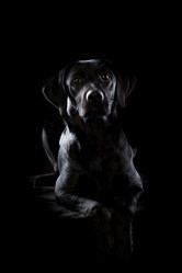 Similar image 13193332