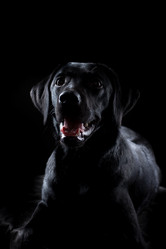 Similar image 13193333