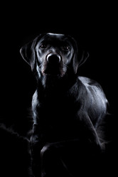 Similar image 13193334