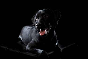 Similar image 13193335