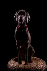 Similar image 13193337